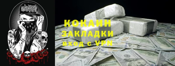 mdpv Краснослободск