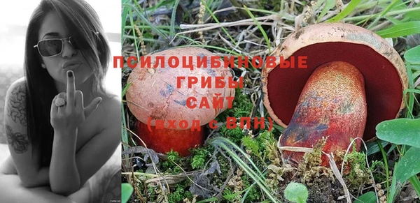 дмт Краснотурьинск